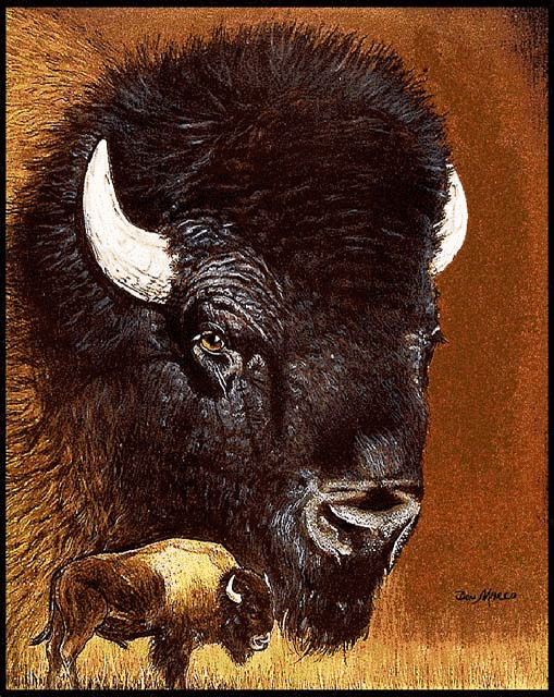 North American Bison Tapestry Afghan